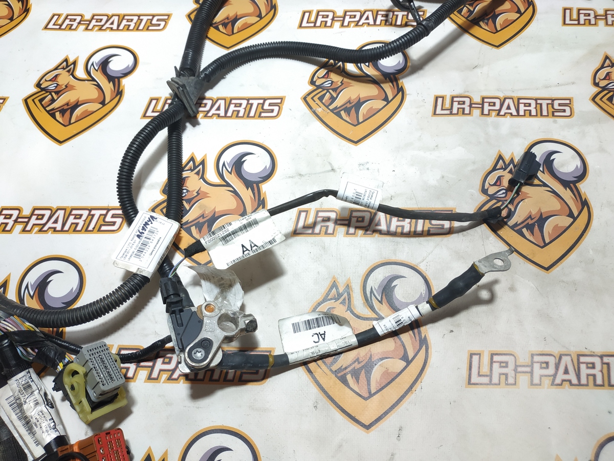 C2Z16597 Terminal minus (control system. BATTERY) RANGE ROVER EVOQUE L538 2011-2018 Used
